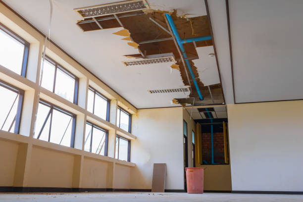 Best Fire Damage Restoration  in Mount Gay Shamrock, WV