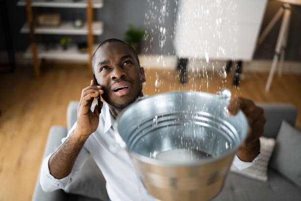 Best Water damage restoration near me  in Mount Gay Shamrock, WV