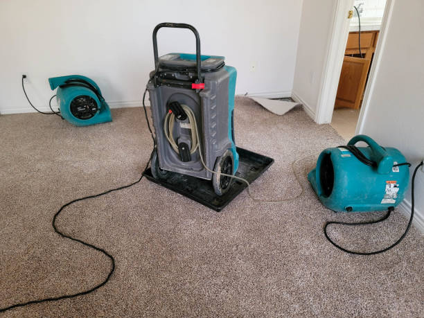 Best Emergency water damage restoration  in Mount Gay Shamrock, WV