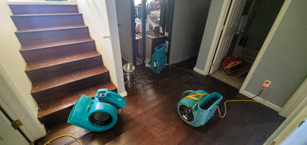  Mount Gay Shamrock, WV Water damage restoration Pros
