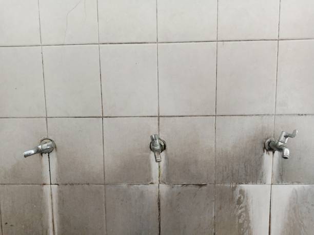 Best Ceiling water damage repair  in Mount Gay Shamrock, WV