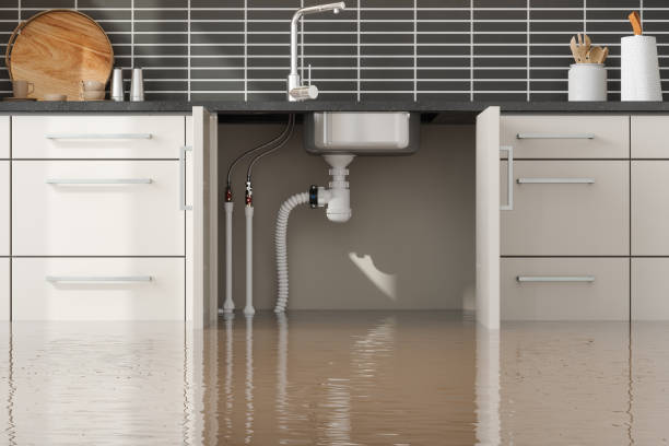 Best Flood restoration services  in Mount Gay Shamrock, WV