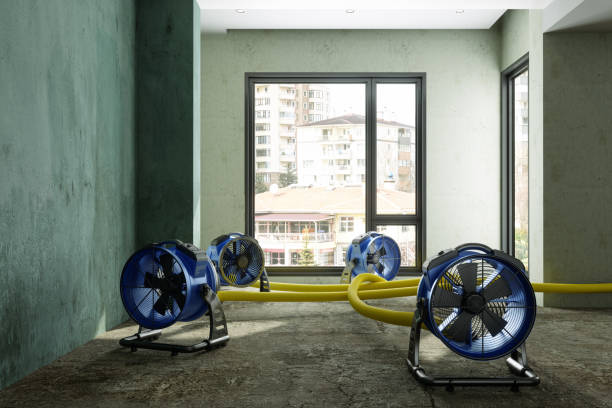Best Basement water damage restoration  in Mount Gay Shamrock, WV